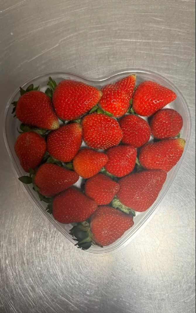 Objava Anđeline Sensori