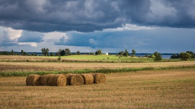 Inwazja znacząco zmniejsza produkcję rolną Ukrainy. To wpłynie na światowe ceny
