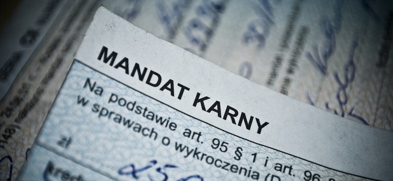 NEWS DZIENNIK.PL: Więcej mandatów, mniej wypadków i zabitych. Policja pokazuje DANE za 2015 rok