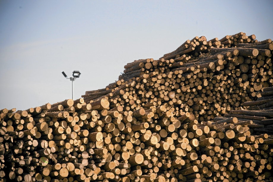 MSP posiada udziały m.in. w fabryce obrabiarek do drewna