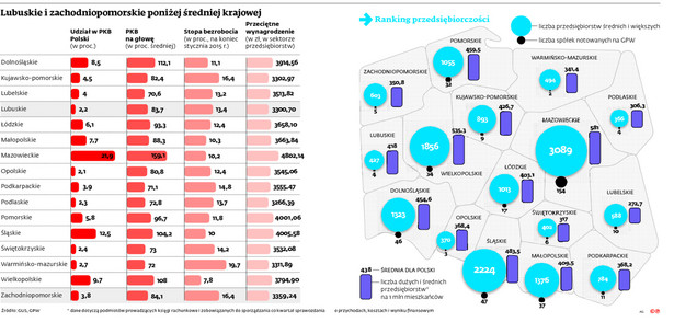 Lubuskie i zachodniopomorskie poniżej średniej krajowej