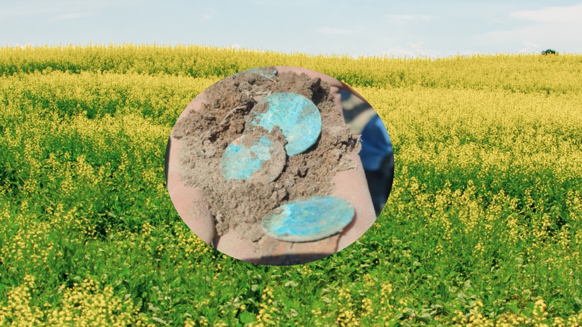 W Bukowcu Wielkim podczas prac rolniczych dokonano wyjątkowego odkrycia