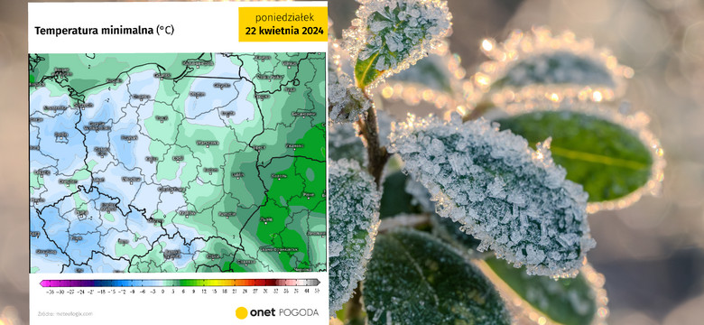 Antycyklon Quadarius zmrozi Polskę. Temperatura spadnie do -5 st. C [PROGNOZA]