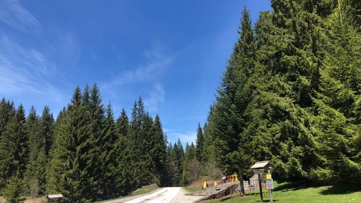 Planina Golija