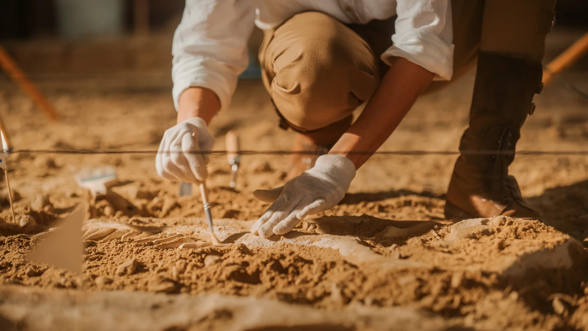 Myśleli, że to zwykły grób. Archeolodzy odkryli ślady masakry sprzed lat