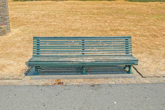 TRAVNJAK VAM JE POŽUTEO I IZGOREO? Rešenje leži u ovoj navici - a nema veze sa svakodnevnim zalivanjem