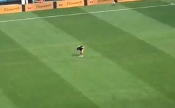 Kibic na meczu we Wrocławiu wbiegł na murawę i na środku boiska pokazał... gołą pupę