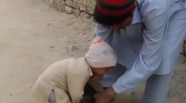 HIHETETLEN! Egy kisfiú mindent megtett, hogy megmentse egy tyúk életét – VIDEÓ