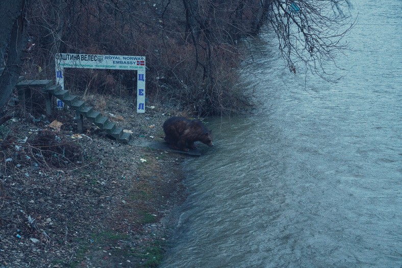 Księga Welesa