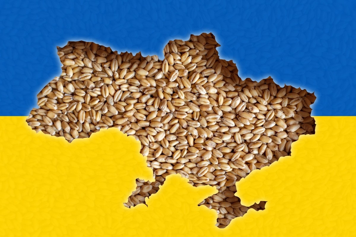 ukraińskie zboże ukraina