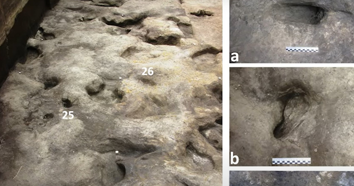 Fußabdrücke von Menschen vor 300.000 Jahren  Jahre.  Woher kamen Nashörner in Europa?