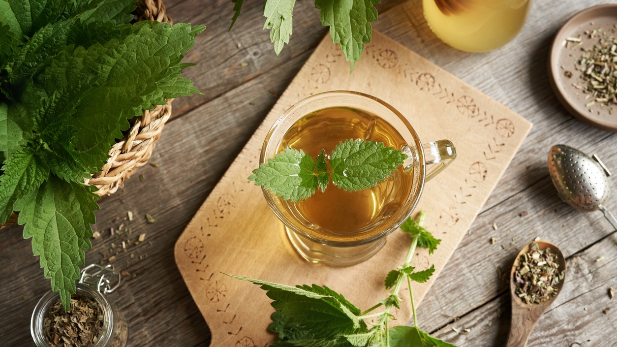 Žihľavové nálevy sú pre svoje silné detoxikačné vlastnosti mimoriadne populárne.