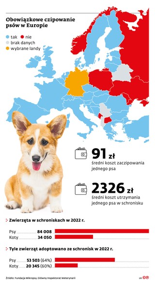 Obowiązkowe czipowanie psów w Europie