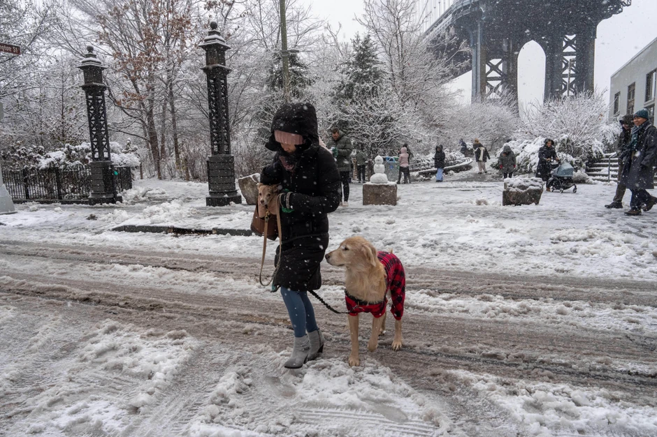 velike hladnoće u SAD