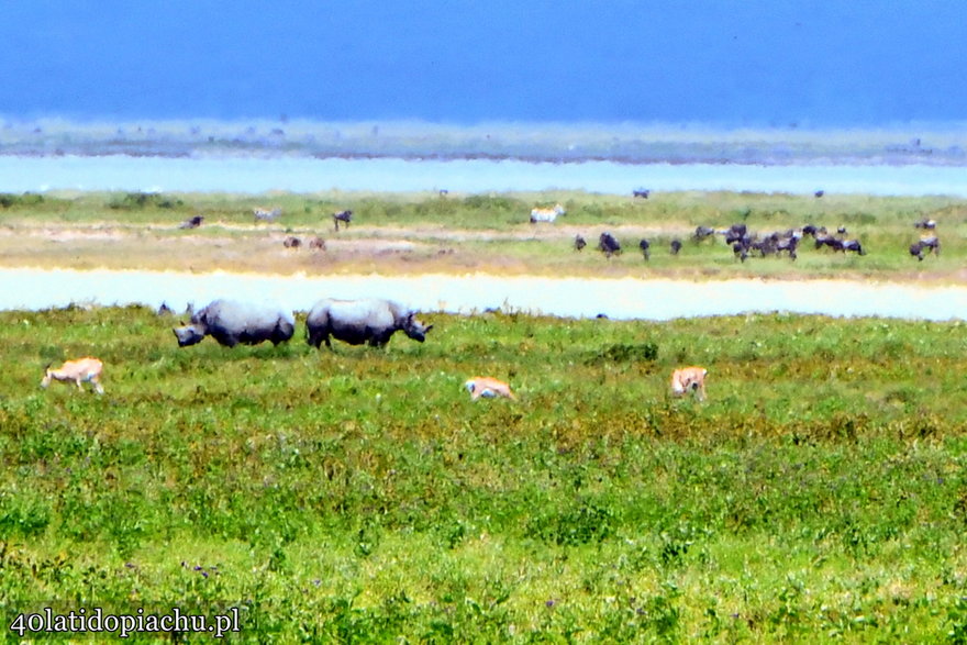 Niezapomniany, dziki świat Parków Narodowych Tanzanii