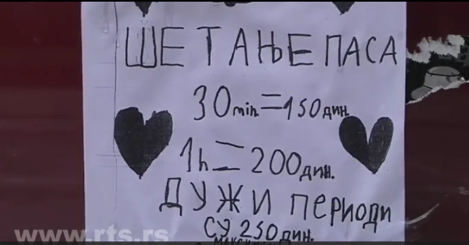 Hana šetanje pasa naplaćuje kako bi od tih para kupila hranu za lutalice