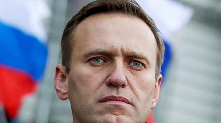 Fel tud kelni az ágyból a megmérgezett Navalnij./ Fotó: MTI/AP/Pavel Golovkin