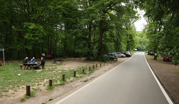 Avala