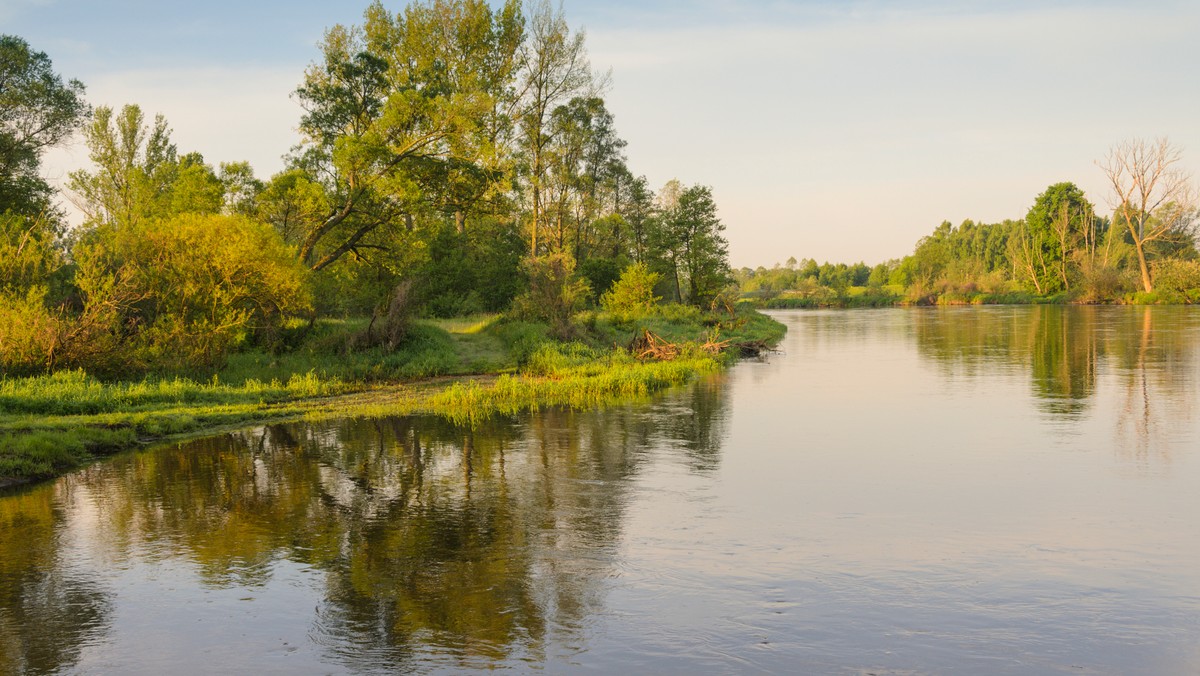 Poznań starał się o 36 milionów złotych, które pozwoliłyby na rewitalizację brzegów Warty. Chodziło przede wszystkim o wymianę betonowych umocnień i zastąpienie ich koszami wypełnionymi kamieniami. Władze miasta informuje, że wniosek o dotację został negatywnie oceniony przez Urząd Marszałkowski.