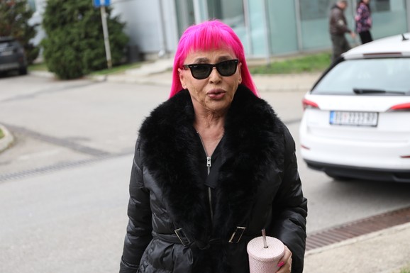 "OPADALA MI JE KOSA I IZGUBILA SAM MOĆ GOVORA" Ovako je Zorica Brunclik pričala o najtežem periodu života: "Kemiš mi je pomogao da se trgnem"