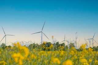 Nowy plan rządu na transformację energetyczną. Gdzie więcej OZE?