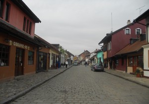 VALJEVO-Tesnjar sa velikim brojem kafica_foto Predrag Vujanac