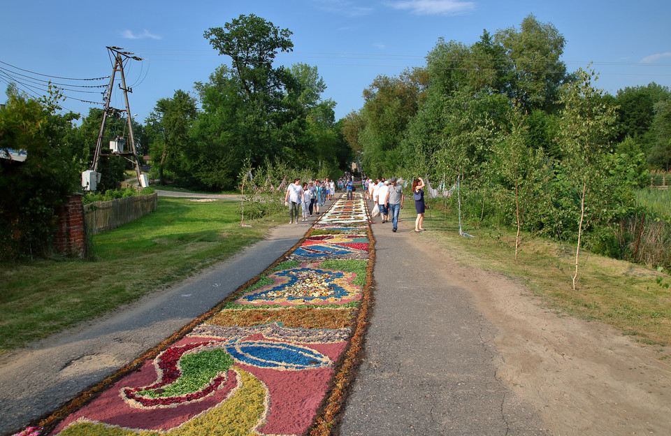 Tradycja dywanów kwiatowych na procesje Bożego Ciała, Spycimierz