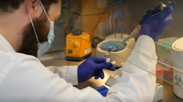 Ilość materiału genetycznego koronawirusa w ściekach jest największa od września 2021 r.