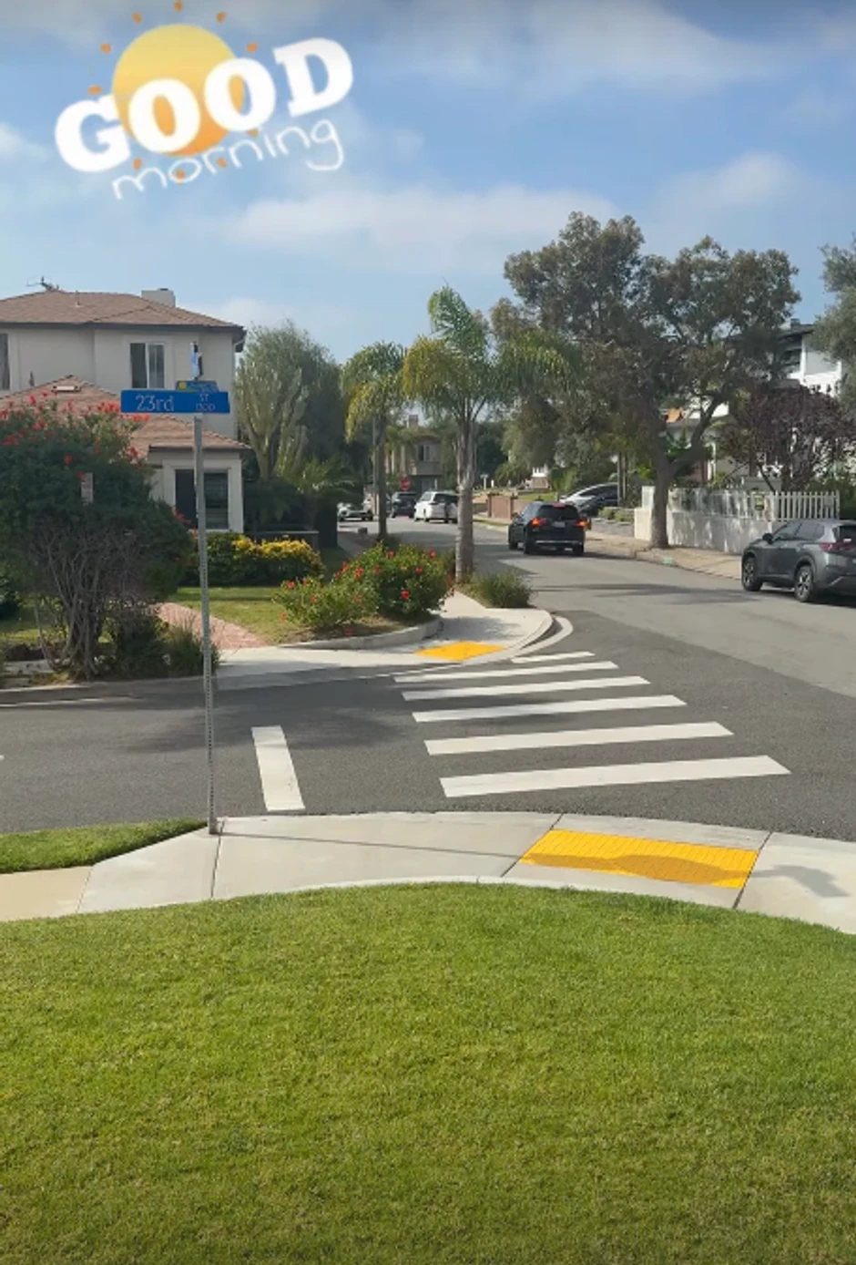 Vlada Stanojević, objava