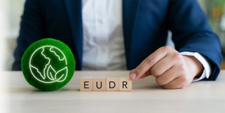 EUDR zmieniany na ostatnią chwilę