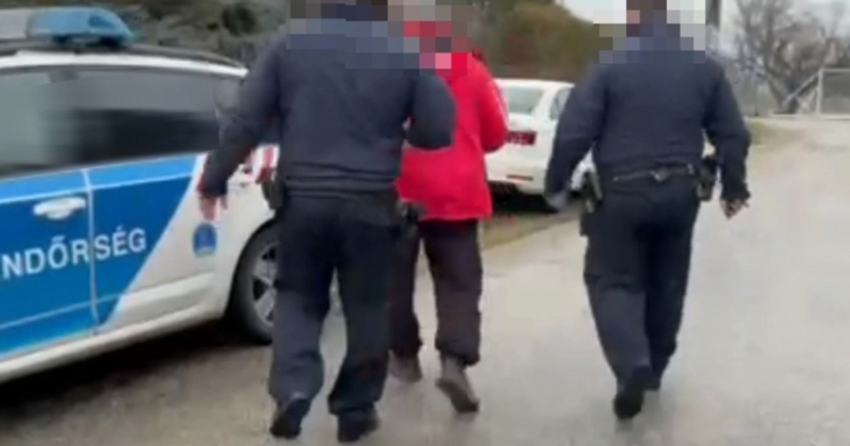 Gyomirtóval mérgezte a macskákat egy férfi a Balatonnál – rendőrkézre került