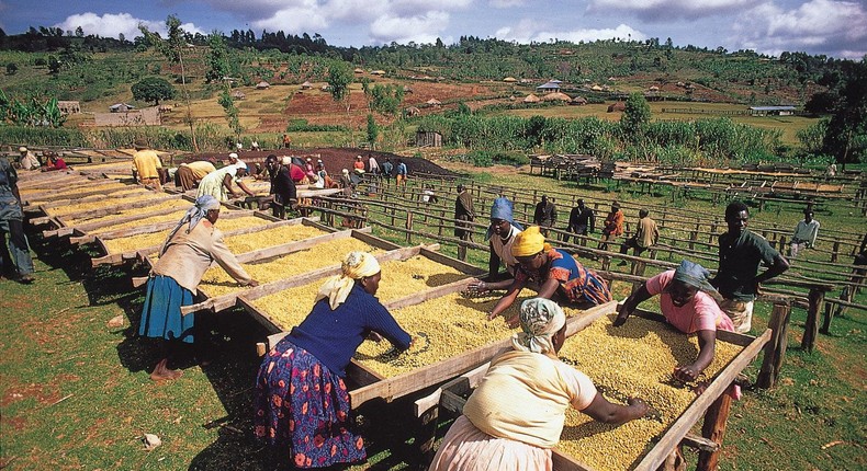 Kenya is in talks with the World Bank for a $200 million agriculture loan