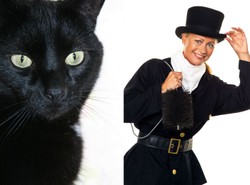 Kominiarz przynosi szczęscie, czarny kot pecha. Oto przesądy, w które wierzą Polacy