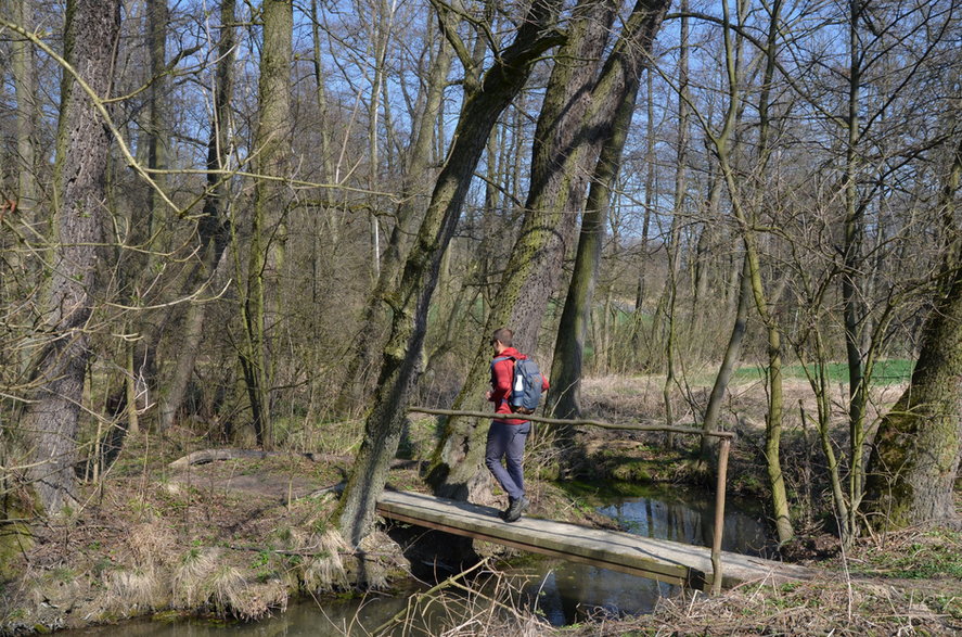 Ścieżki na terenie Dłubniańskiego Parku Krajobrazowego. 