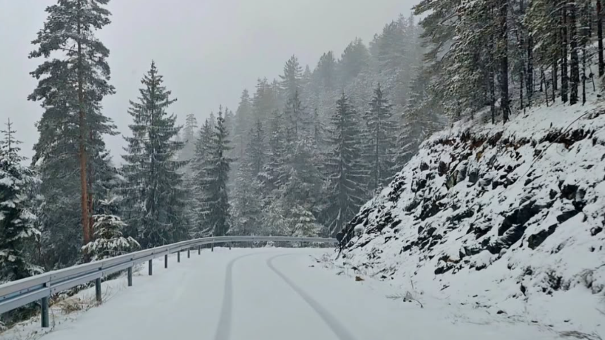 Zapadna Srbija pod snegom: Zabeleli se planinski vrhovi, sneg intenzivno pada
