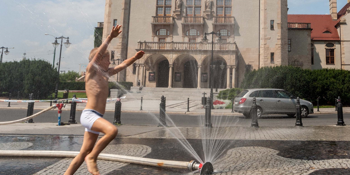 Kurtyny wodne w Poznaniu