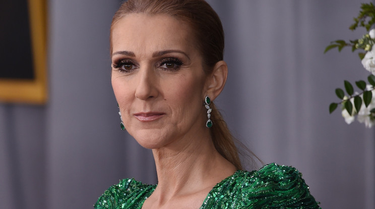 Haldokló férje kedvéért énekelt Celine Dion /Fotó: Northfoto