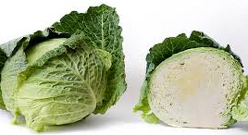 A head of Cabbage