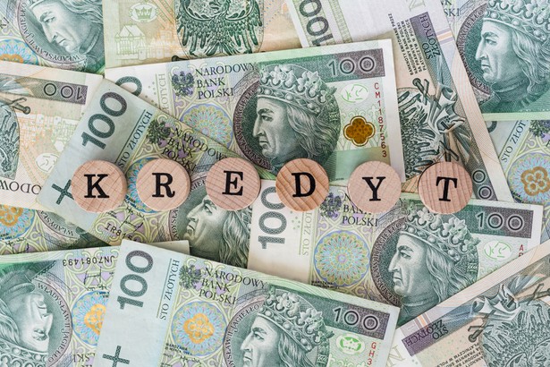 Będzie "Bezpieczny Kredyt 0 proc."? Komisje senackie na tak