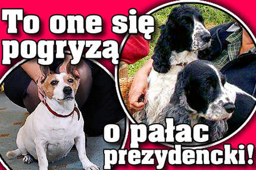 Pogryzą się o prezydencki pałac! Zobacz