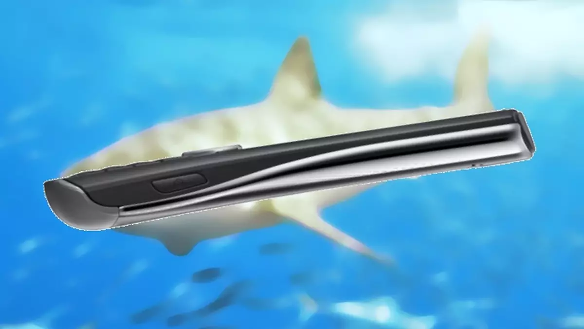 S5350 Shark p