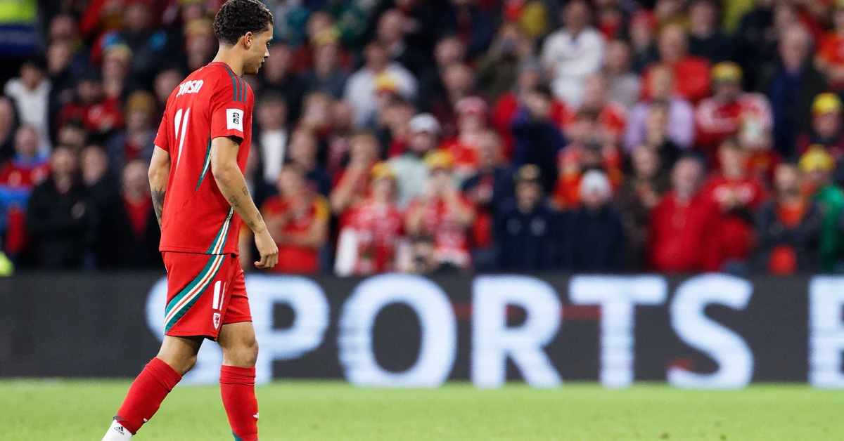 El. MŚ 2026. Szczur zakłócił mecz Walia - Belgia. Thibaut Courtois nie dał rady go złapać