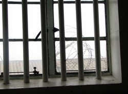 Polscy gangsterzy uczyli się od mafii