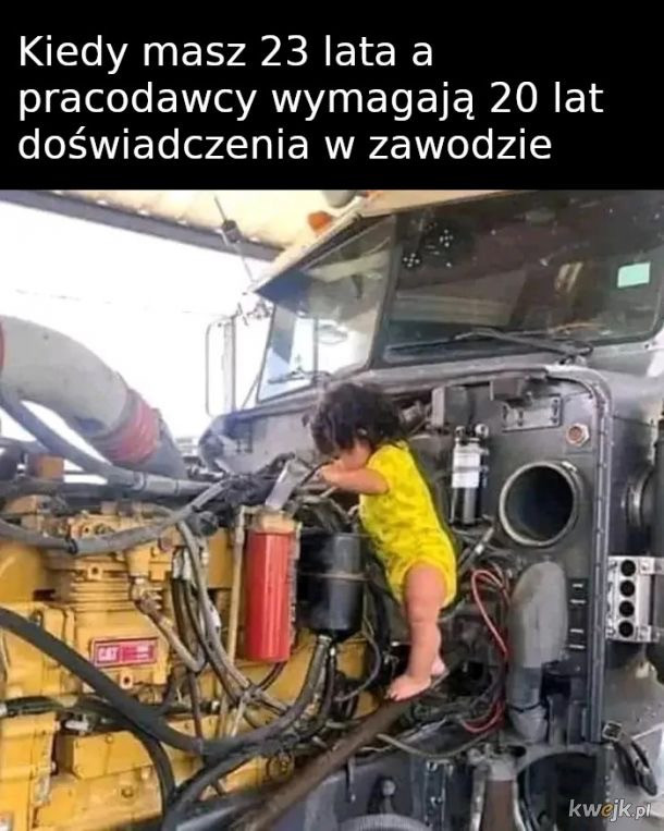 Najlepsze memy tygodnia