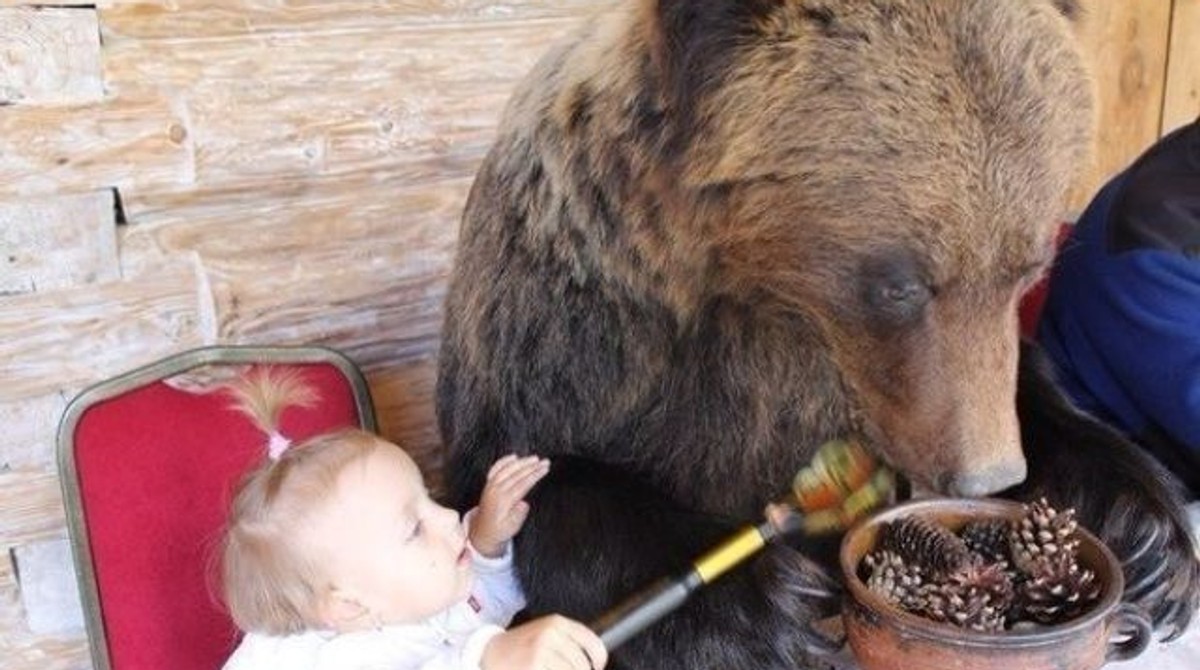 ничего обычное утро. доброе утро ,еще 5 мин. обычное утро в россии мем. обычный юмор. ничего обычное утро.