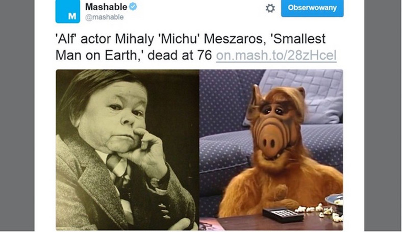 Mihaly "Michu" Meszaros jako Alf skradł serca widzom w wielu krajach
