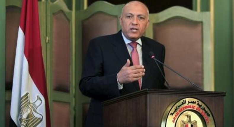 Egyptian Foreign Minister Sameh Shoukry speaks during a news conference after a meeting with his Italian counterpart Paolo Gentiloni at the foreign ministry in Cairo, Egypt, July 13, 2015.