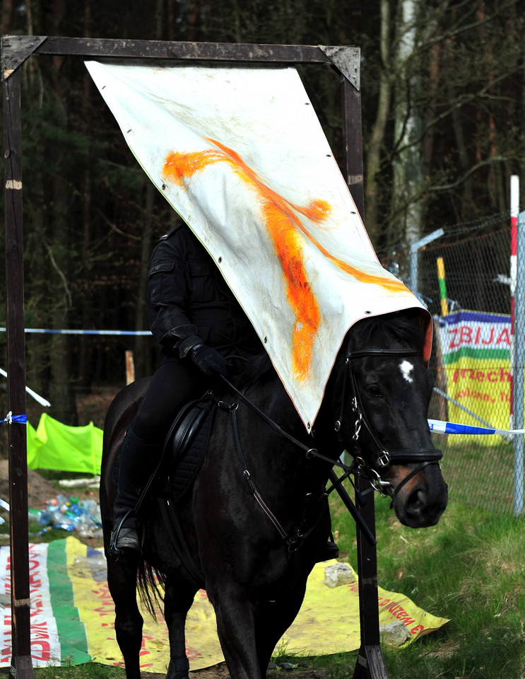 SZCZECIN KONIE W POLICJI TESTY (sprawdzian koni)