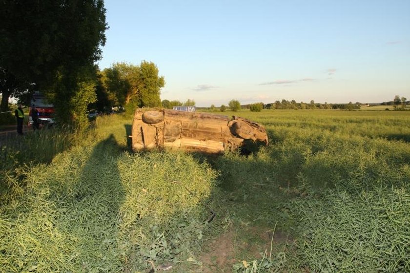 Auto roztrzaskało się o drzewo. Kierowca jechał za szybko?