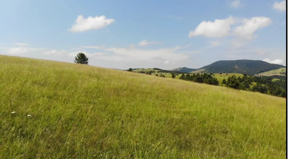 Želi da otkrije ljudima sve benefite koje priroda ima